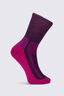 Macpac Kids' Hiking Sock, Black Plum/Festival Fuchsia, hi-res